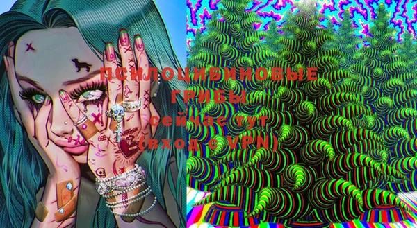 мяу мяу мука Дмитров